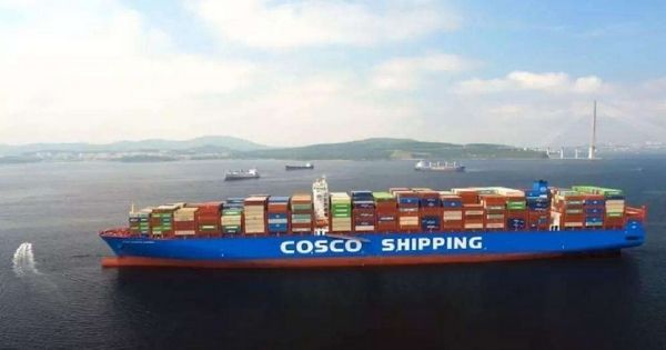 cosco shipping container lines